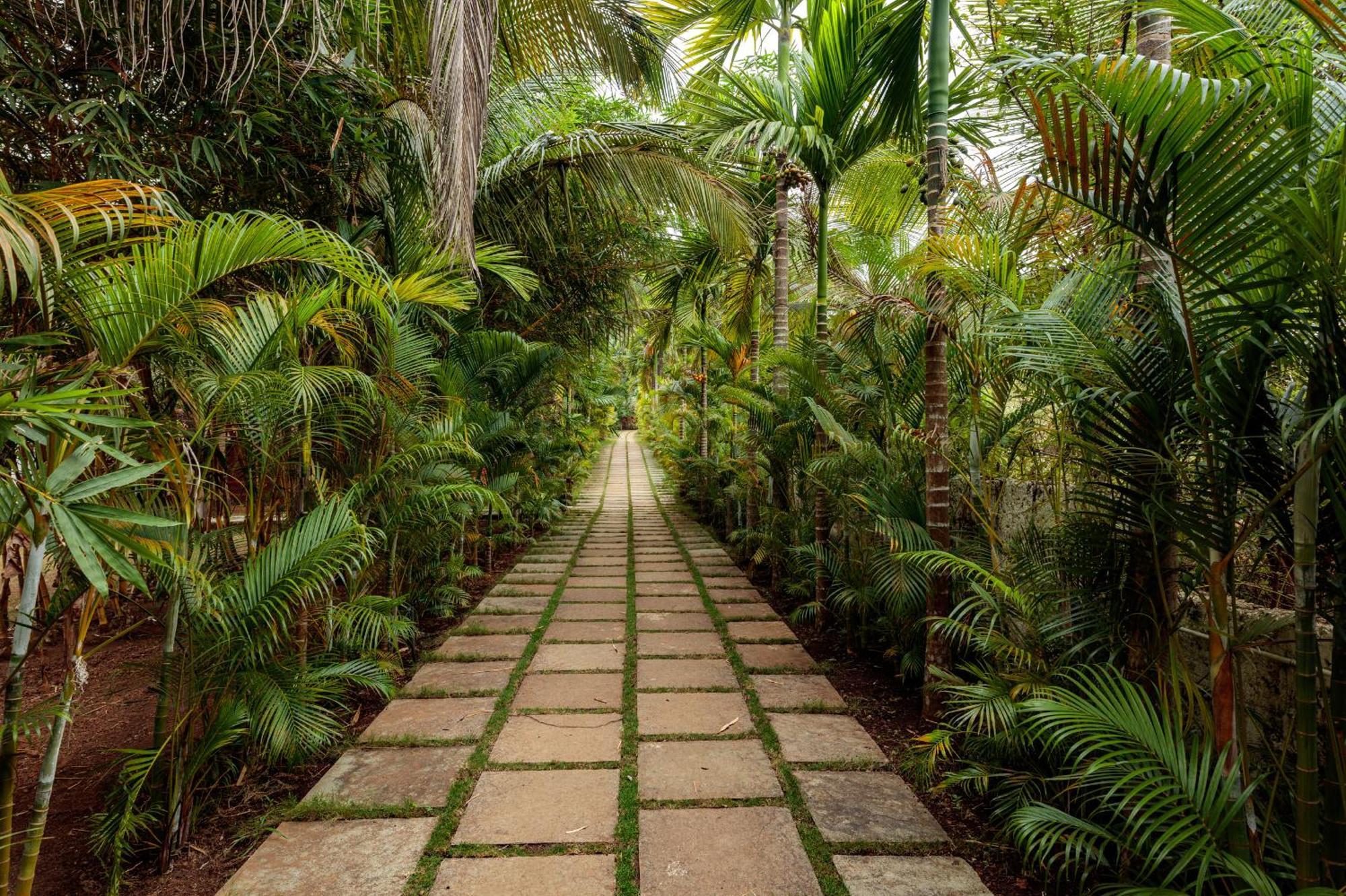 Wild Berry Resort Agonda Canacona Extérieur photo